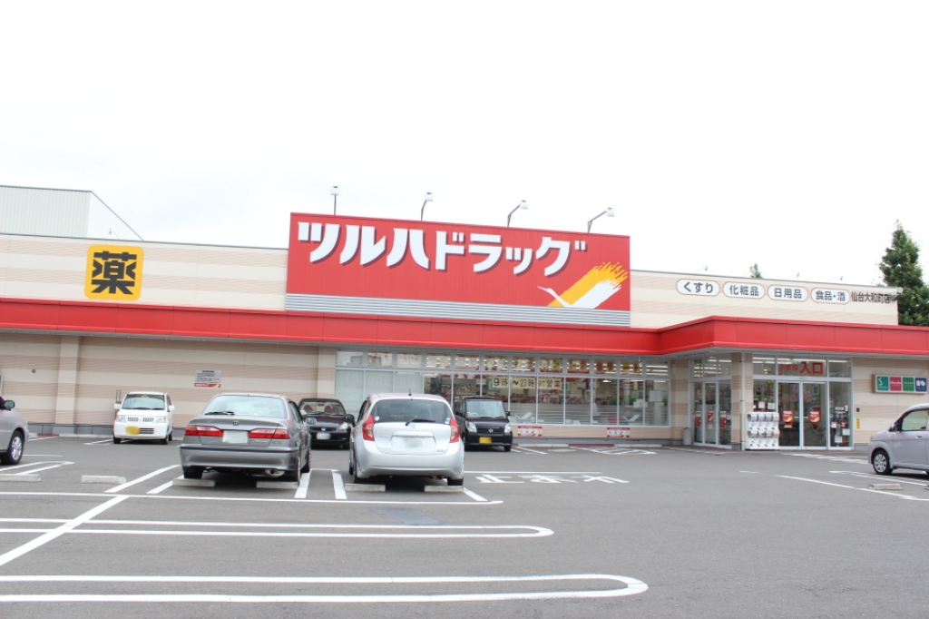 エクセレント・スクエアⅡ ツルハドラッグ大和町店（ドラッグストア）